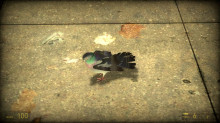 Half-Life Alyx Pigeon