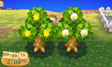 star fragments and cupcake trees in acnl
