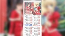 Fate/stay night Xmas Calendar