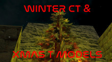 Winter CT and Xmas T