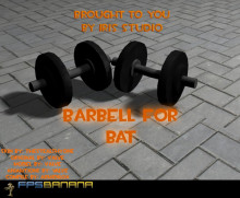 Barbell for Bat