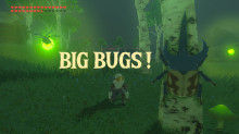 Big Bugs!