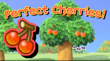 Perfect Cherries!