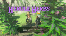 Hyrule Herbs (Switch)