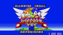 Maddie's Ideal Sonic 2 Experience