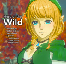 Linkle Hero of the Wild replacement