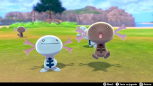 Wooper forms Paldea the Pokemon Scarlet and Violet