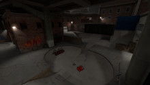 TDM Skate