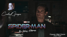 Preview of Spider-Man NWH - Organic Web Scene