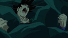 Preview of Goku vs Beerus