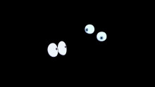 Preview of TADC- Oh god, there is a fly.