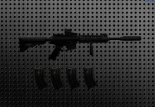 SR25 Rifle