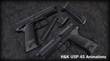 HK USP.45