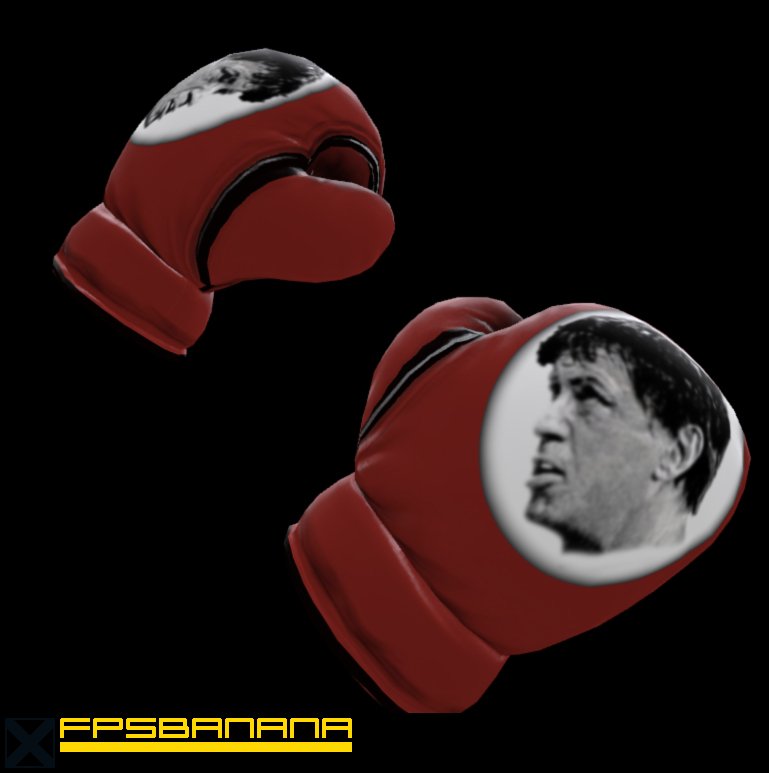 Rocky Boxing Gloves