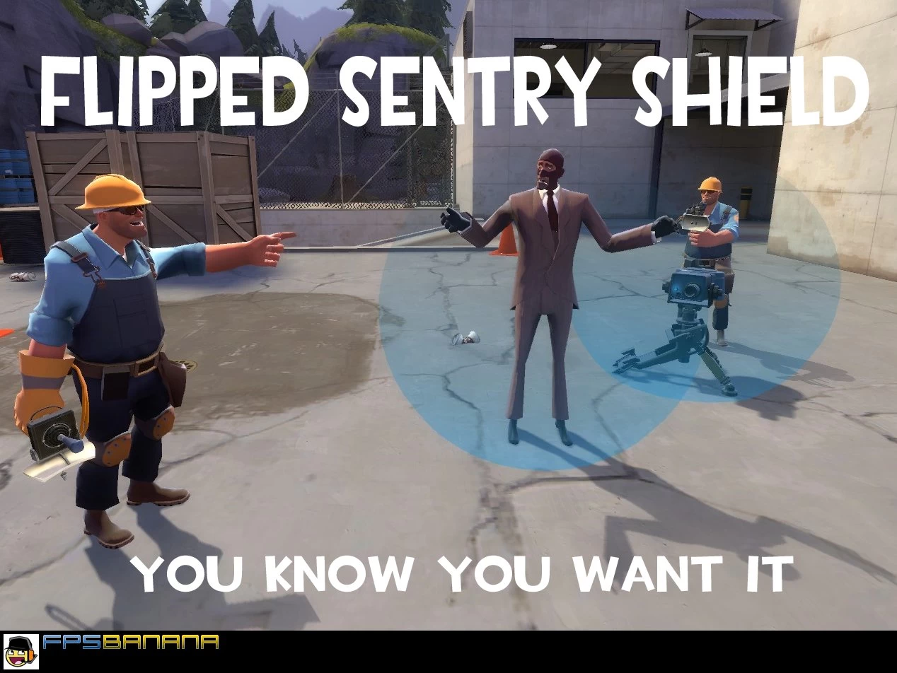 Flipped Sentry Shield