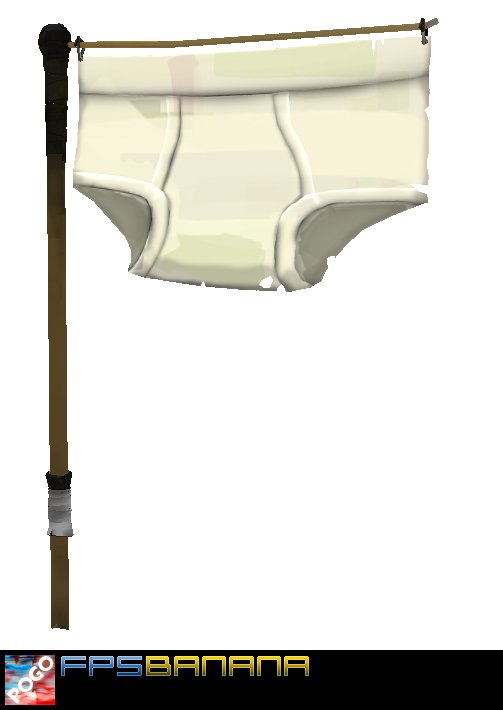 Brief Banner