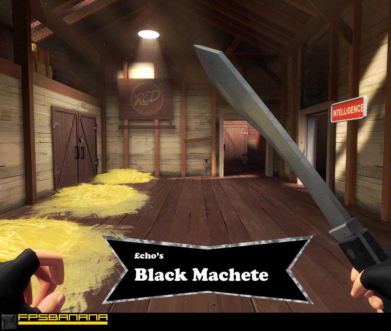 Echo's Black Machete