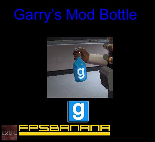 Garry's Mod Bottle