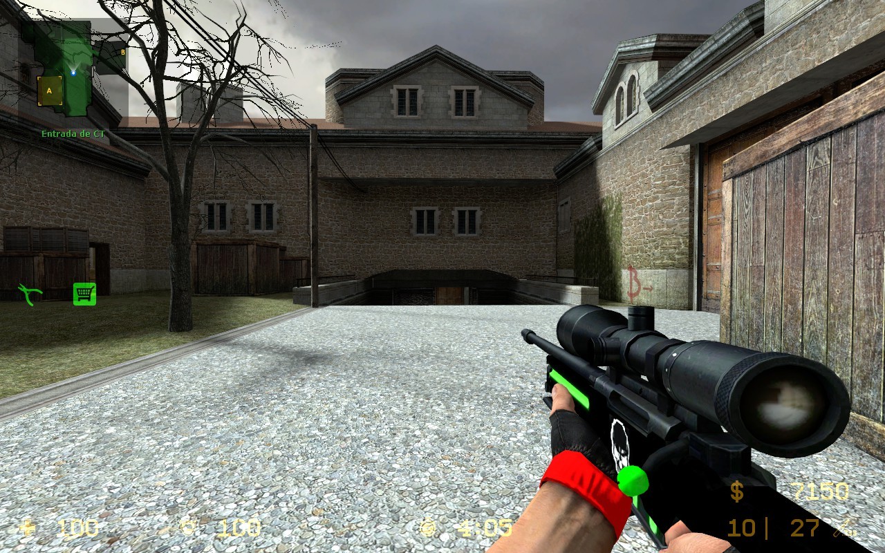 ThePaint Awp