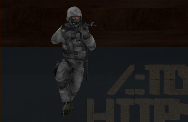 Grey GSG9