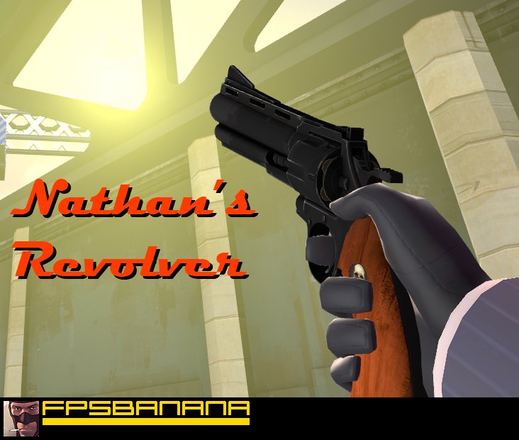 Nathan's Revolver