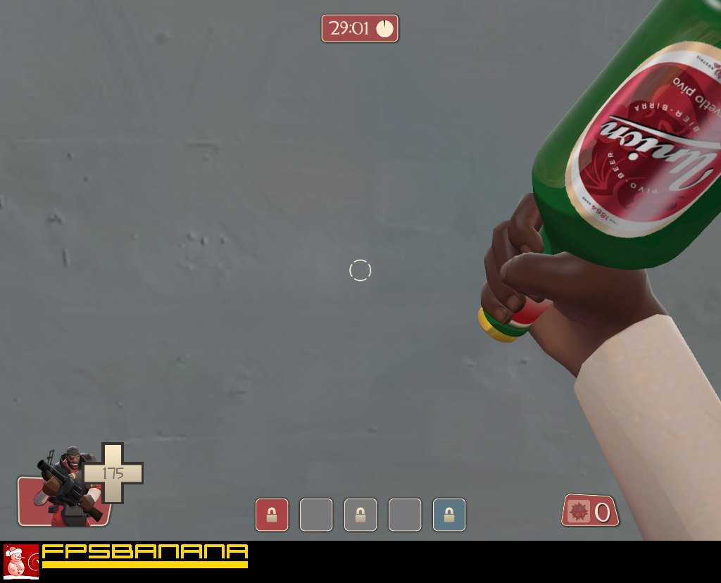 Union beer bottle 2008