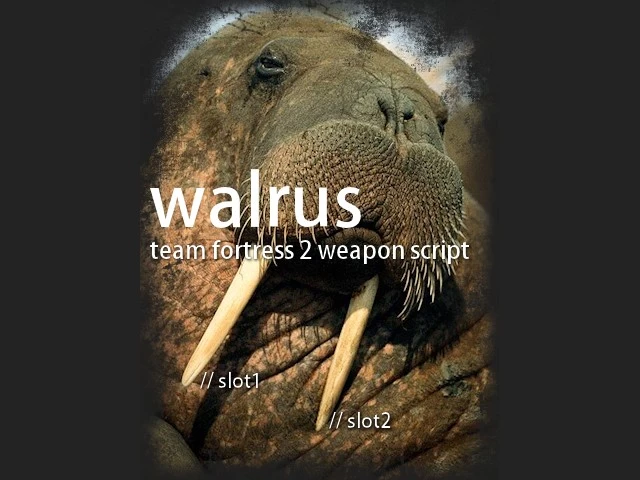 Walrus Multi-Script