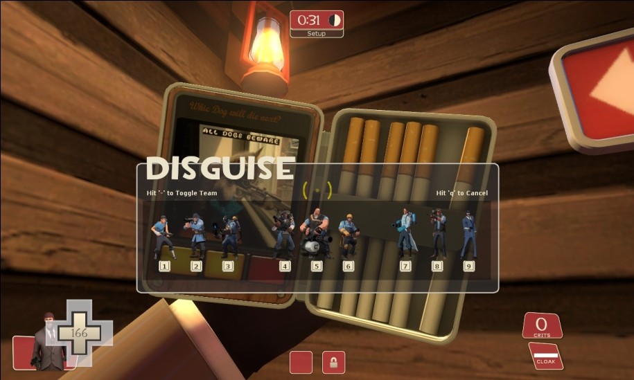 Cat's Disguise Case