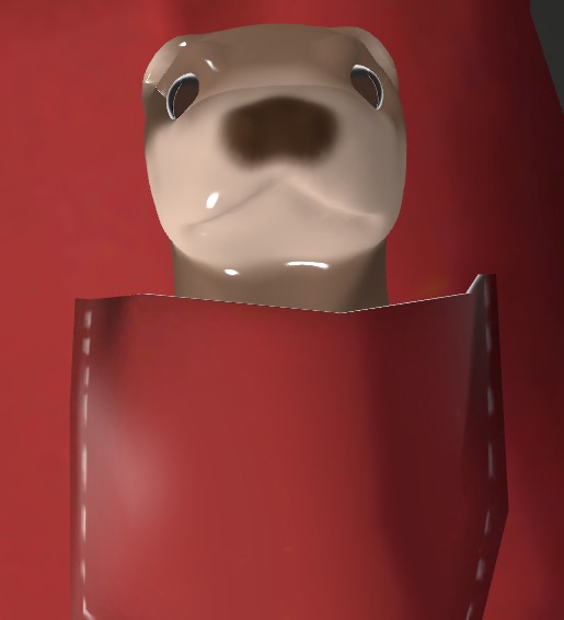 Pocket Otter