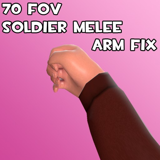 70 FOV Soldier Melee arm fix
