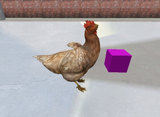 Aim_Chicken