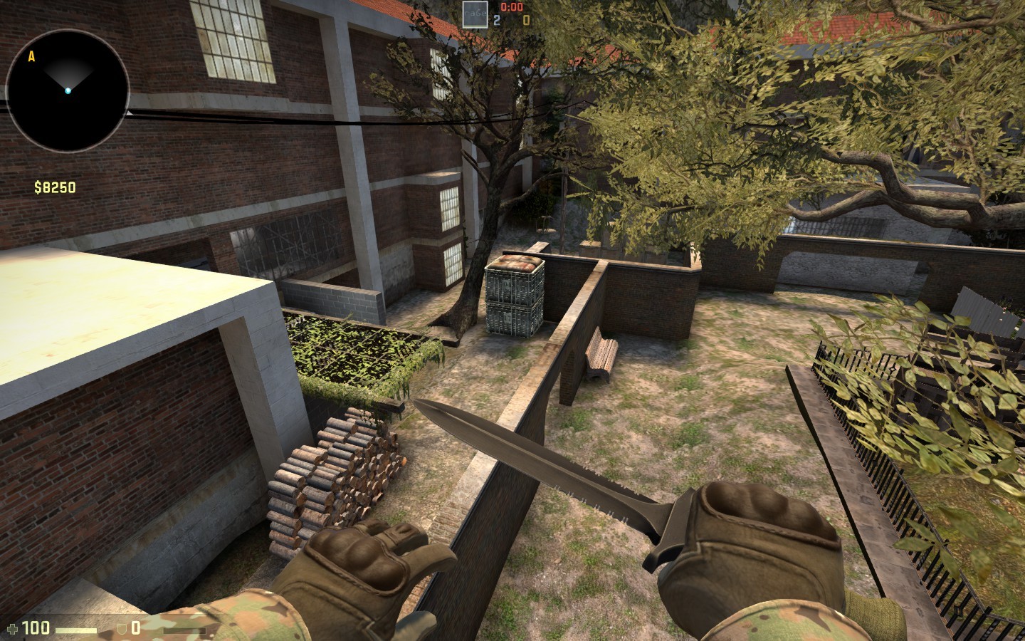 ar_backyard