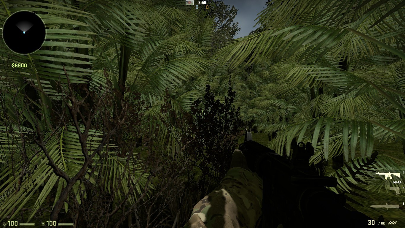 aim_junglehills