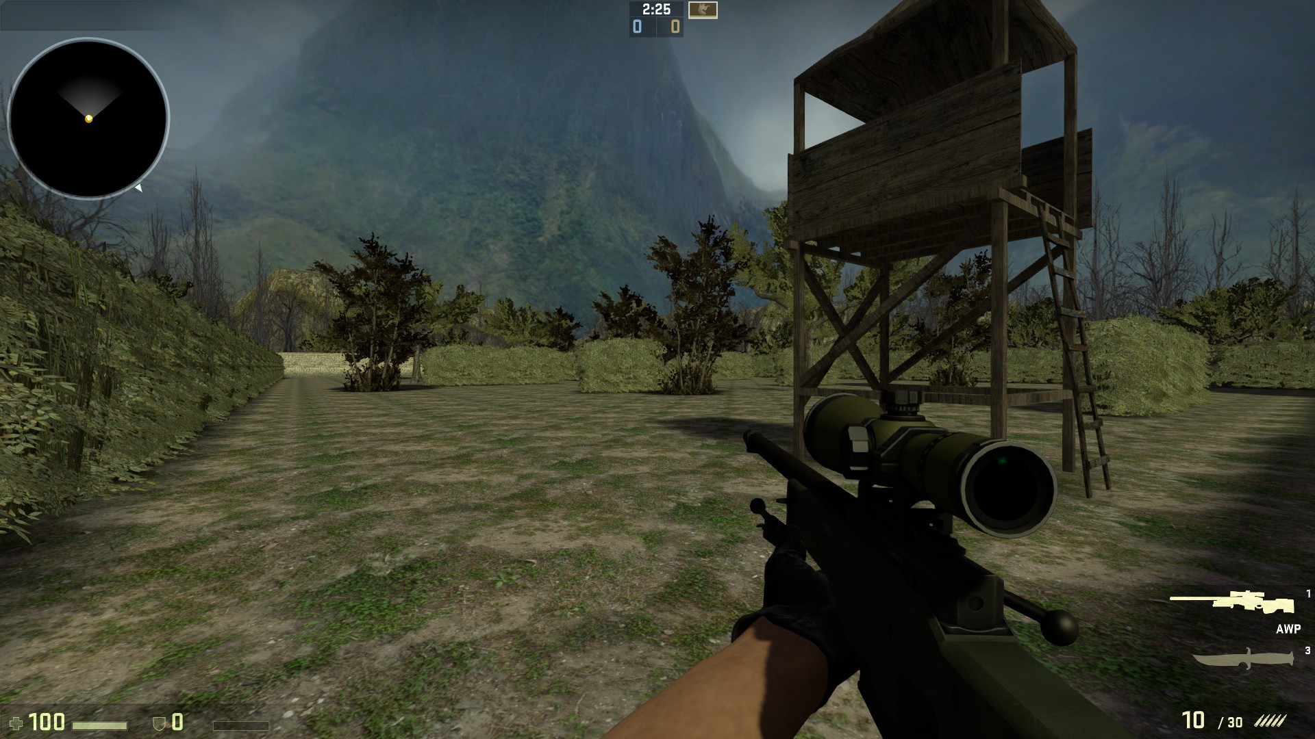 awp_forest_sky