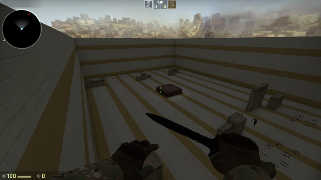 aim_pro