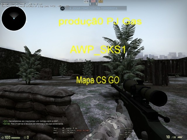awp_sks1