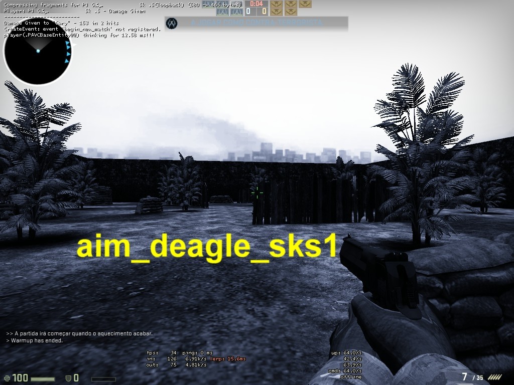AIM_DEAGLE_1
