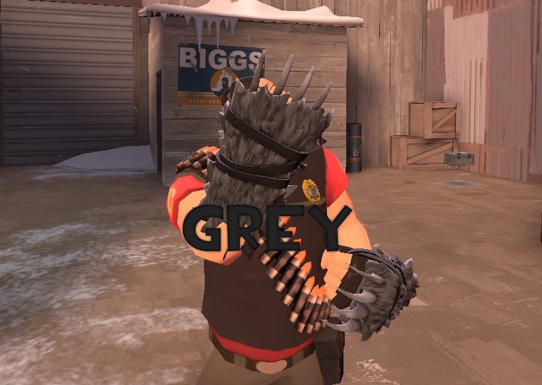 Gray Warrior's spirit