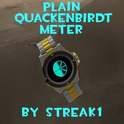Plain Quackenbirdt Meter and Visible watch