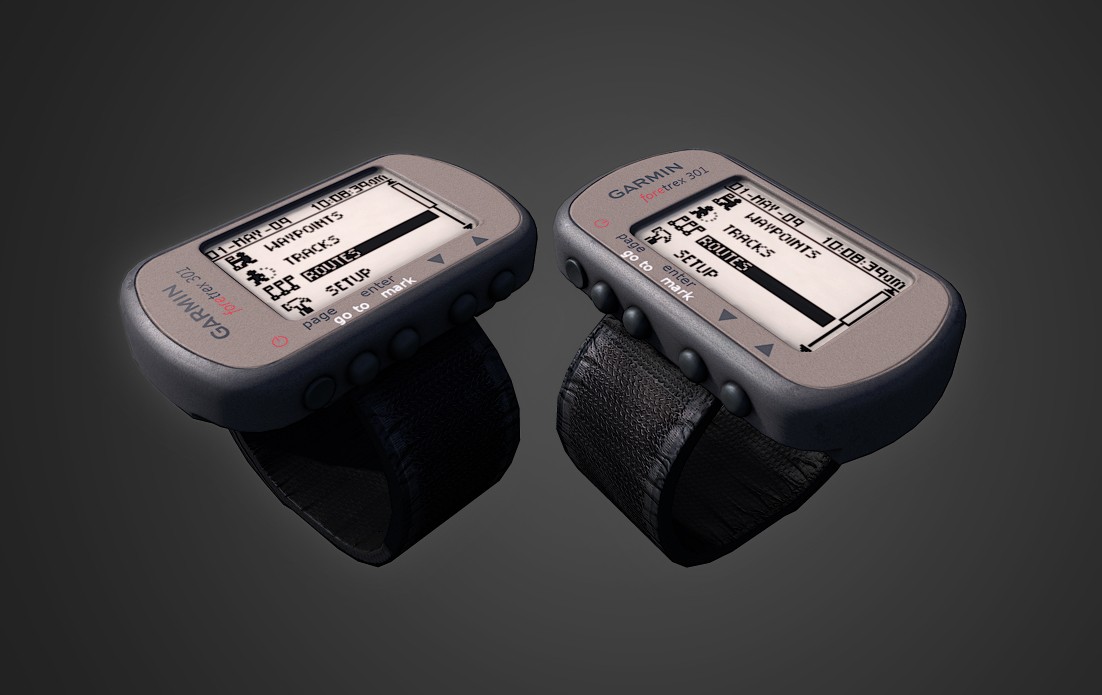 Garmin Foretex 301