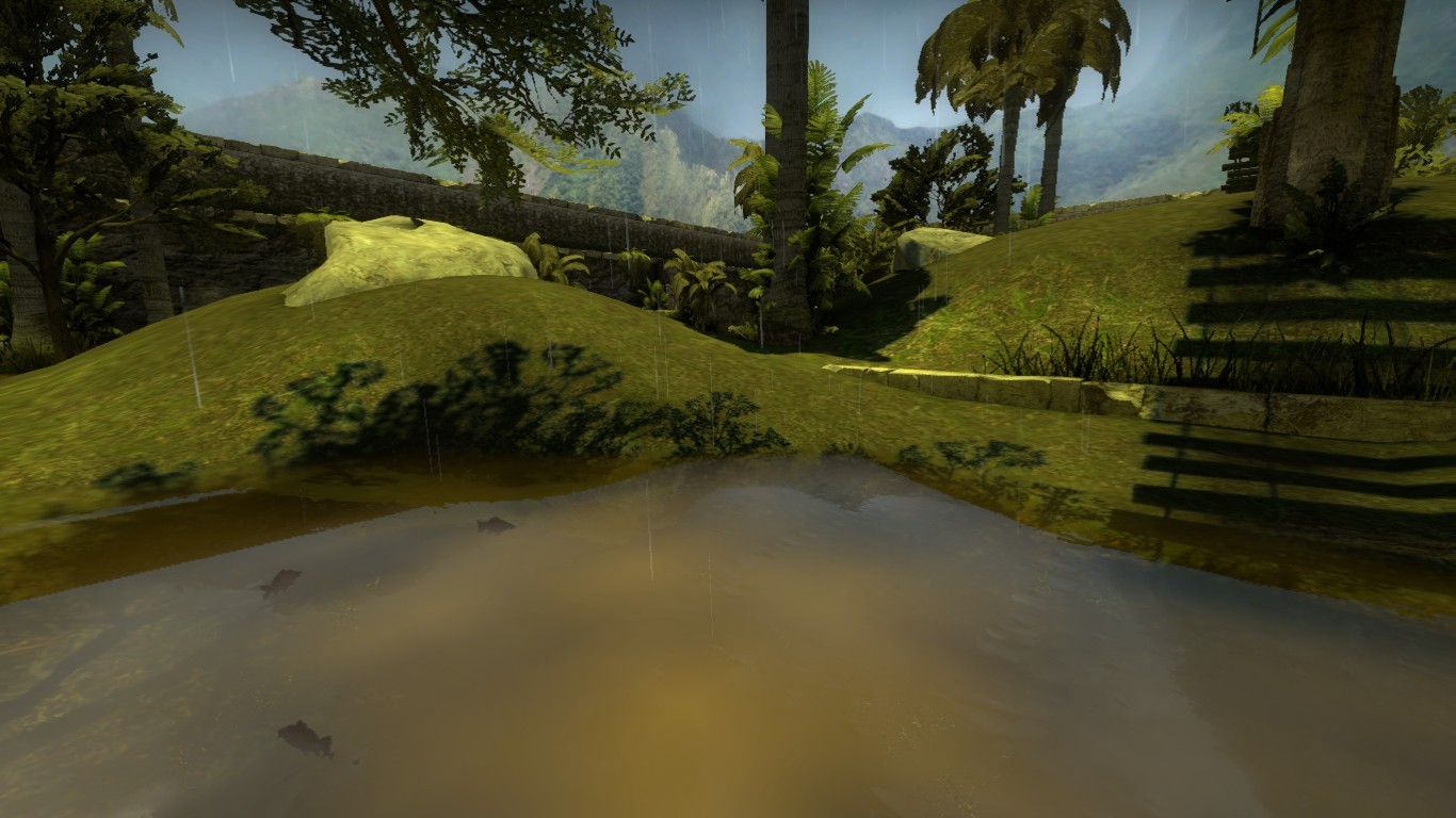 aim_rainforest_b3