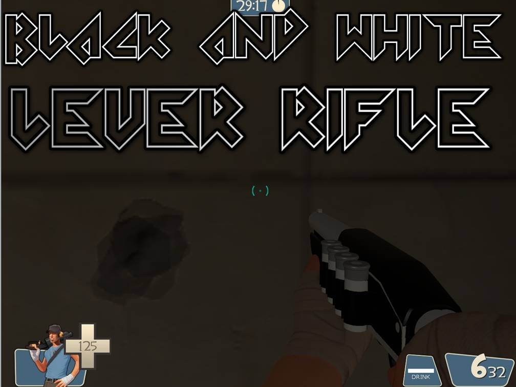 Black and White Lever Rifle