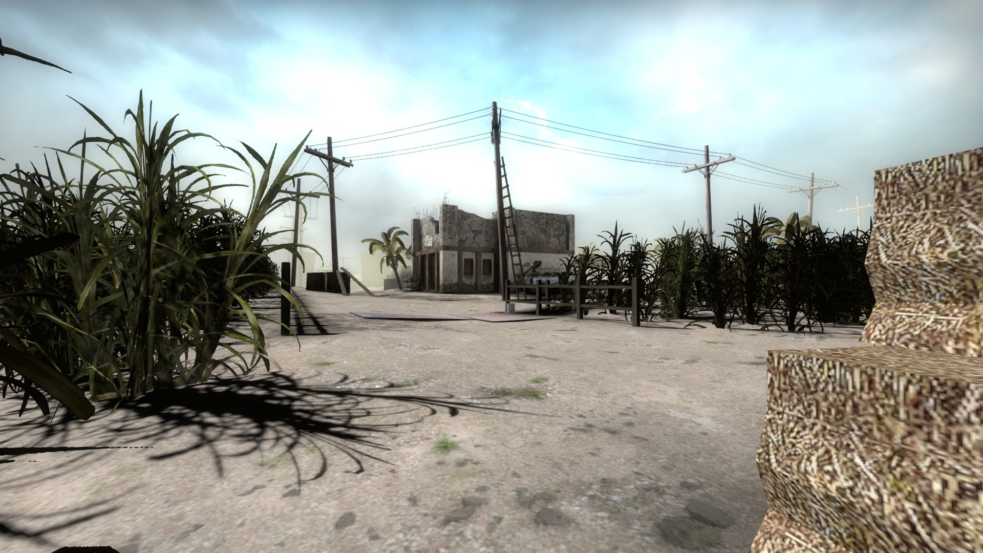 ka_canefield