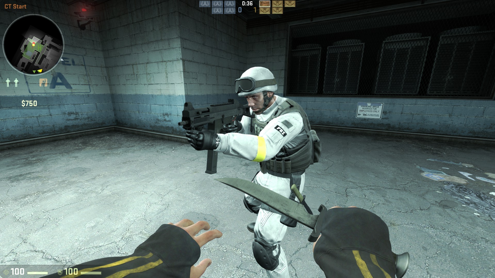 FBI Snow Skin