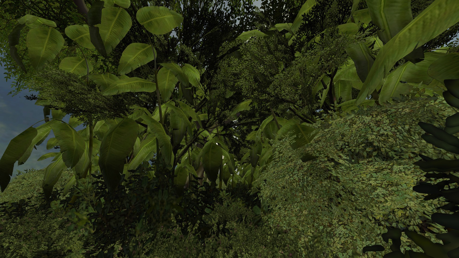 fun_jungle
