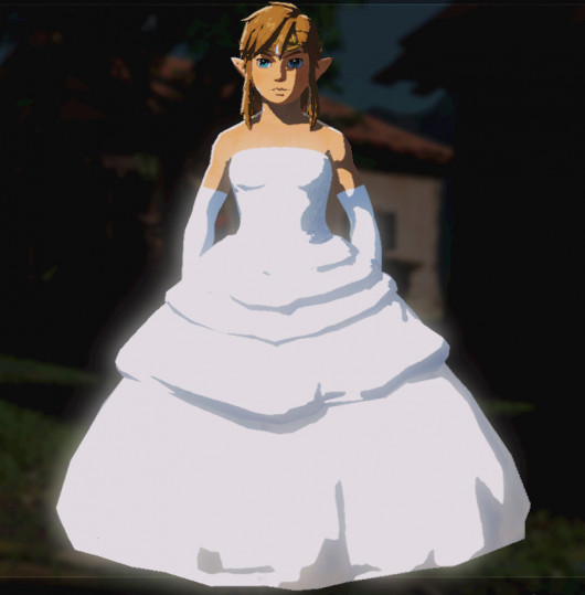 Link The Runaway Bride The Legend of Zelda Breath of the