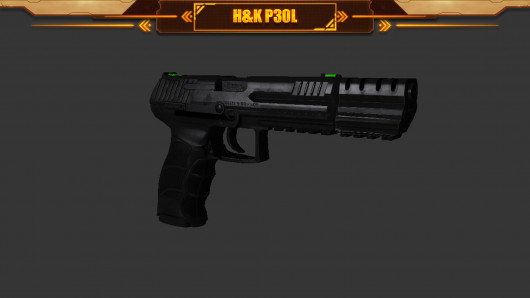 H&K P30L