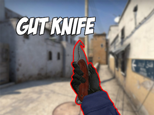 CSGO : Gut Knife [Counter-Strike 1.6] [Mods]