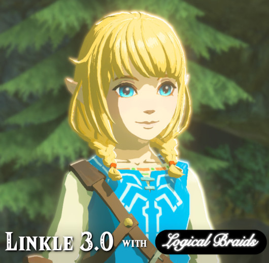 Linkle 30 With Logical Braids The Legend Of Zelda Breath Of The Wild Wiiu Mods 9888