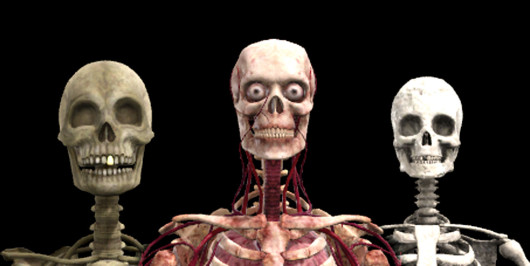 Skeleton Pack oyun içi önizlemesi